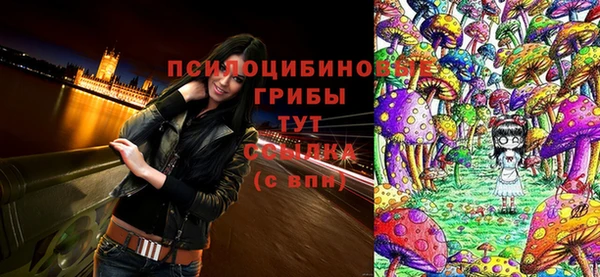 мяу мяу мука Михайловск