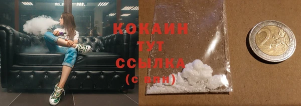 шишки Апатиты