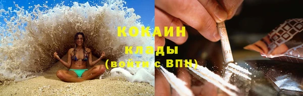 apvp Михайлов